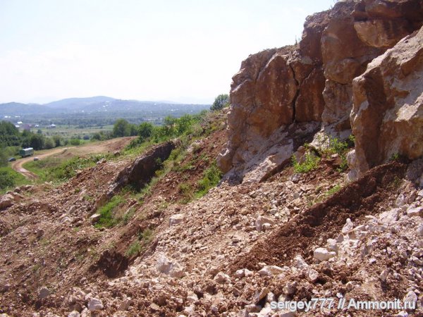 Украина, нижняя юра, Закарпатская область, Кричевский карьер, Lower Jurassic