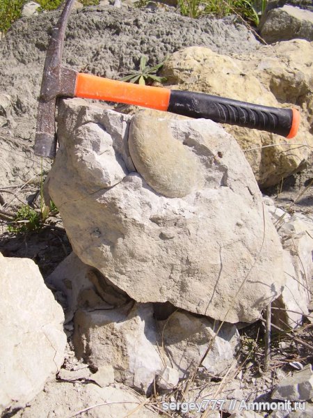 Украина, нижняя юра, Закарпатская область, Приборжавский карьер, Lower Jurassic