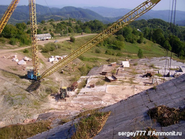 юрский период, карьер в с.Новоселица, Jurassic