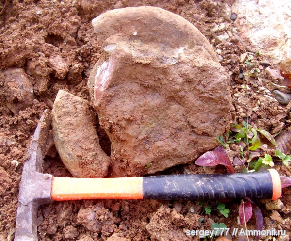 юрский период, Jurassic