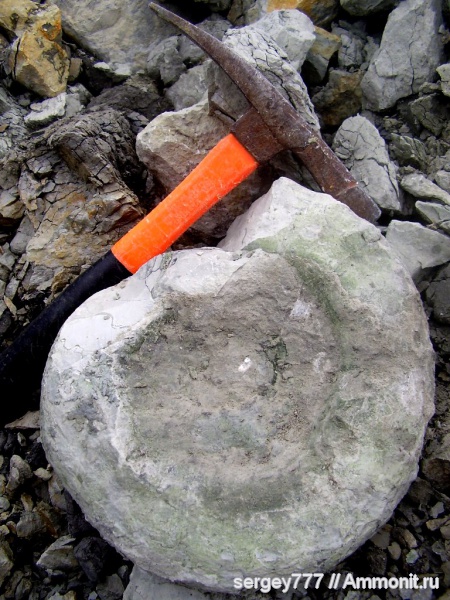 юрский период, Jurassic