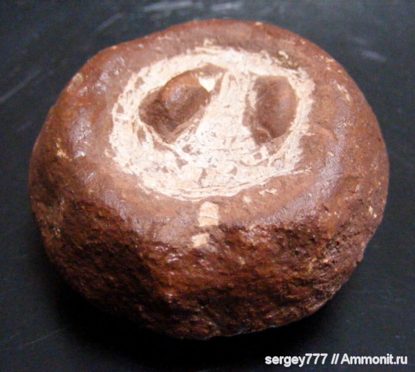 юрский период, Jurassic