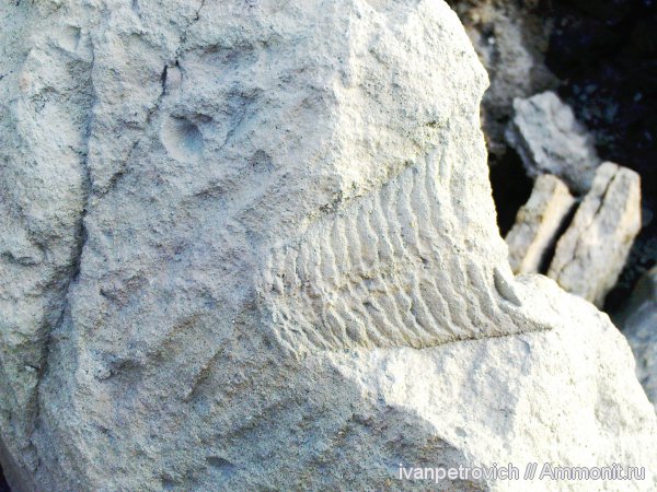 Жеголевский карьер