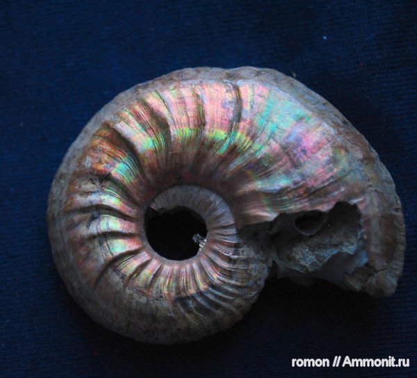 прижизненные повреждения