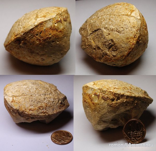 девон, Devonian