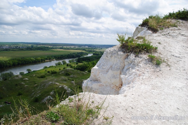 мел, водоросли, кокколитофориды, Cretaceous