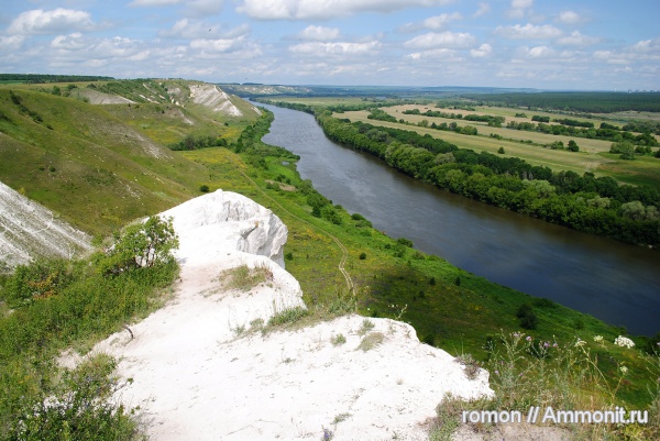 мел, водоросли, кокколитофориды, Cretaceous