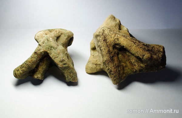 девон, Devonian