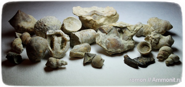 девон, Devonian