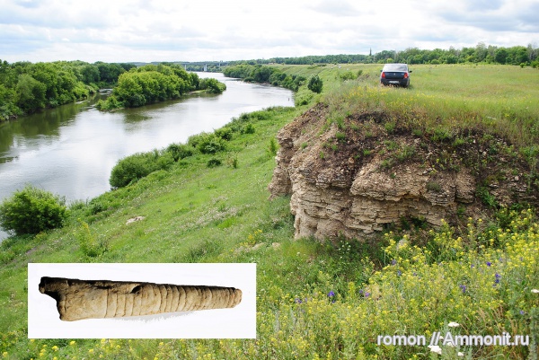 девон, Devonian