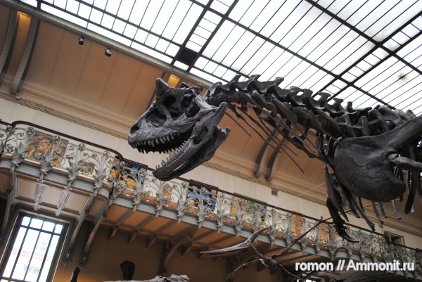 динозавры, музеи