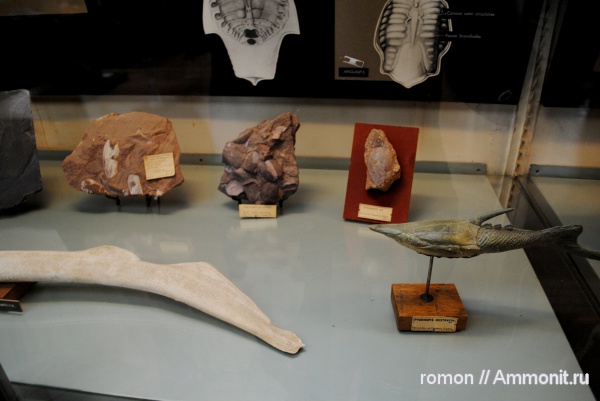 девон, Devonian