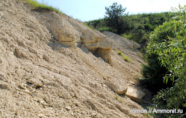девон, Devonian