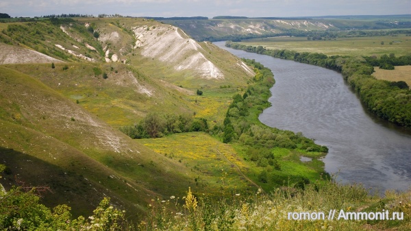 мел, р. Дон, Cretaceous