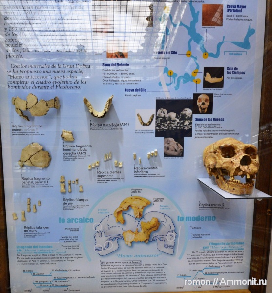 музеи, Geominero