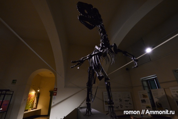 музеи, Бергамо