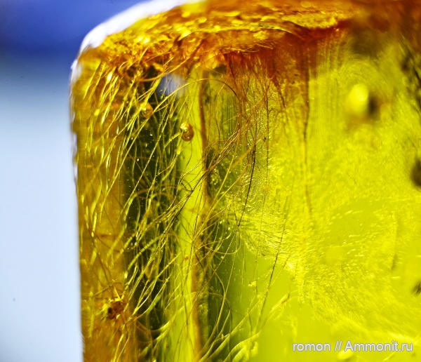 янтарь, инклюзы