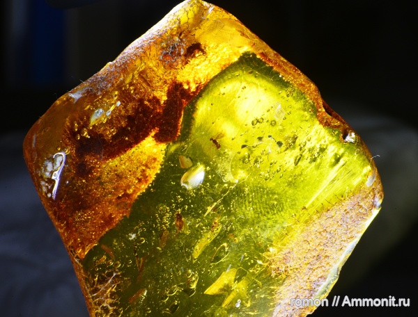 янтарь, инклюзы