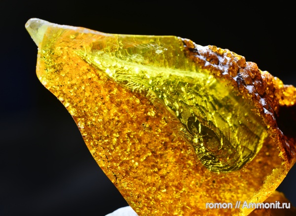 янтарь, инклюзы