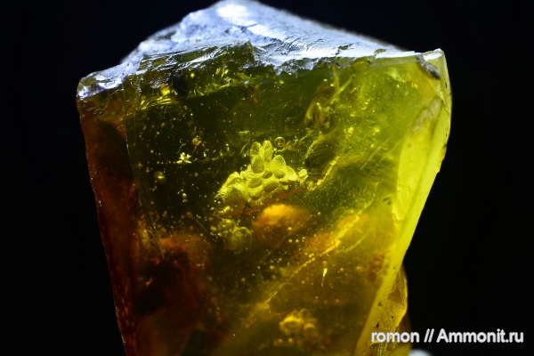 янтарь, инклюзы