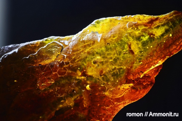 янтарь, инклюзы