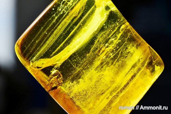 янтарь, инклюзы