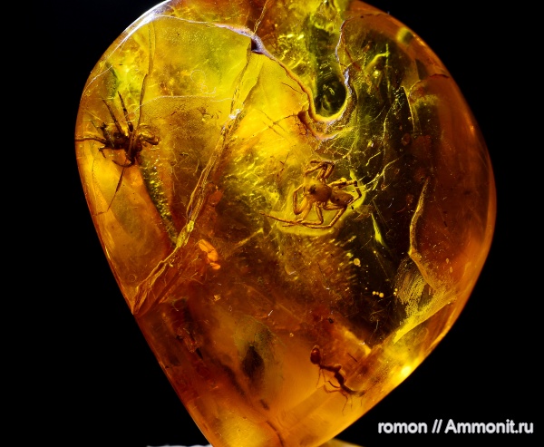 янтарь, инклюзы