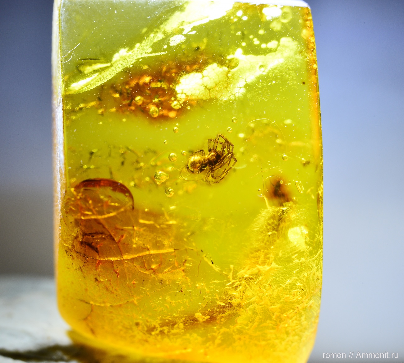 Паучек. Янтарь. - Янтарь
