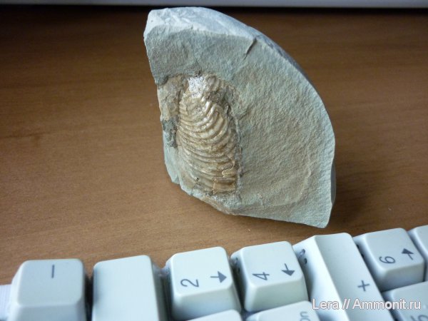 Сахалинская область