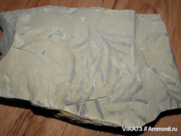 моя находка