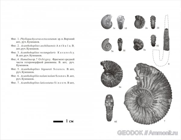 нижний мел, Lower Cretaceous