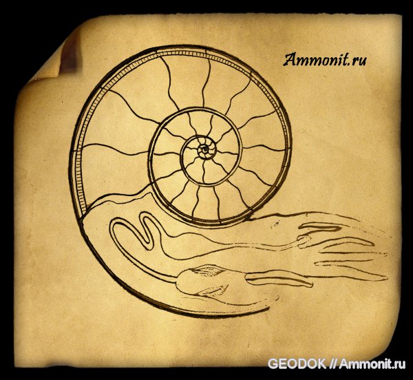 Мой палеоАРТ