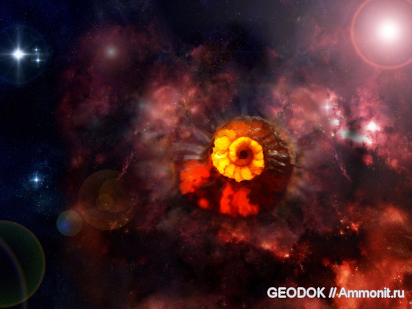 мел, апт, протоконх, Acanthohoplites, Parahoplitidae, Aptian, Cretaceous