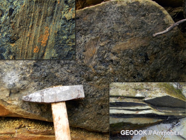 мел, водоросли, баррем, Barremian, Cretaceous