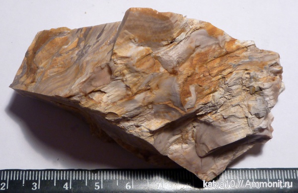 опализированная древесина, опал