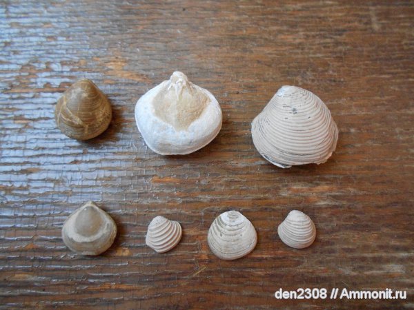 мои находки