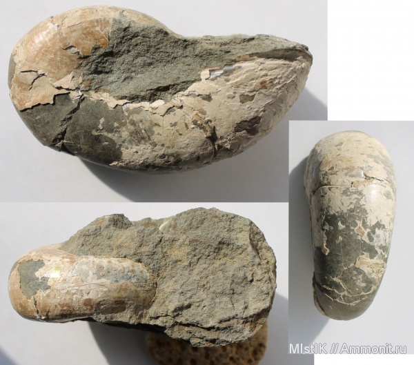 мел, апт, ?, Адыгея, Aptian, Cretaceous