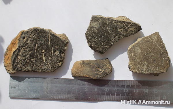 Адыгея, р. Фарс