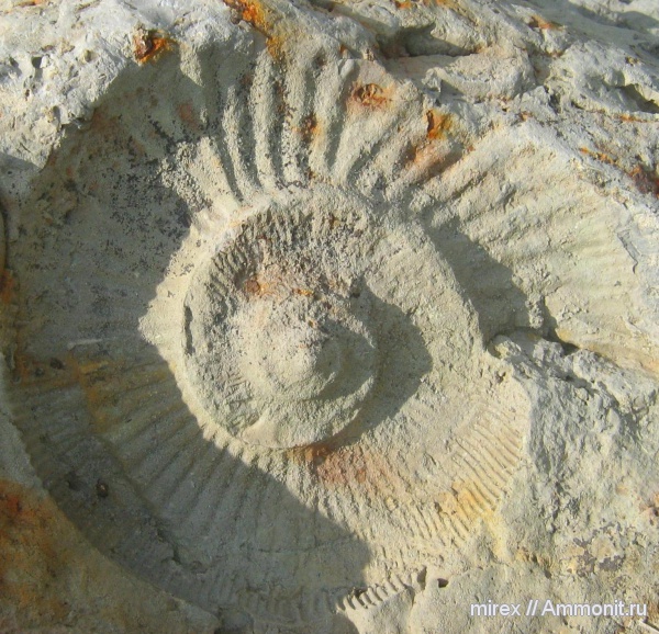 отпечатки, Туапсе