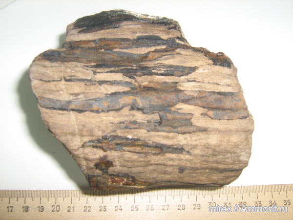 Туапсе, Туапсинский район