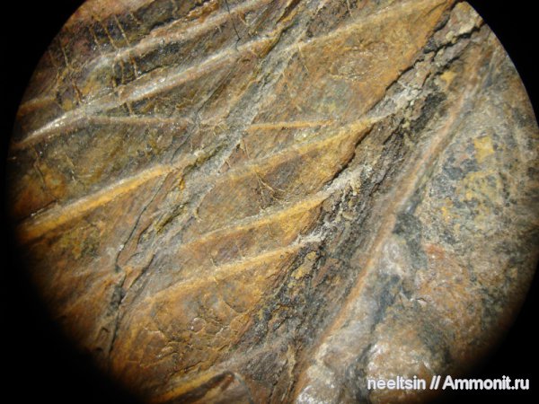 песчаник, триасовая система, Еврейская автономная область