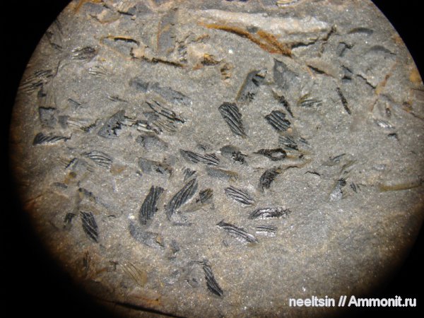 песчаник, триасовая система, Еврейская автономная область