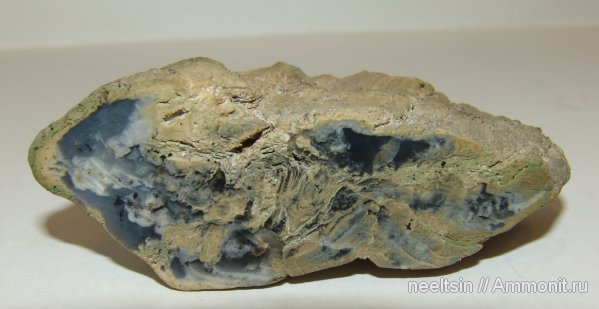 окаменевшее дерево, острова, спил, халцедон, Сахалин