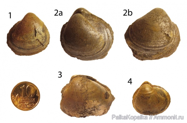 филёвский парк