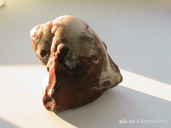 Мои находки