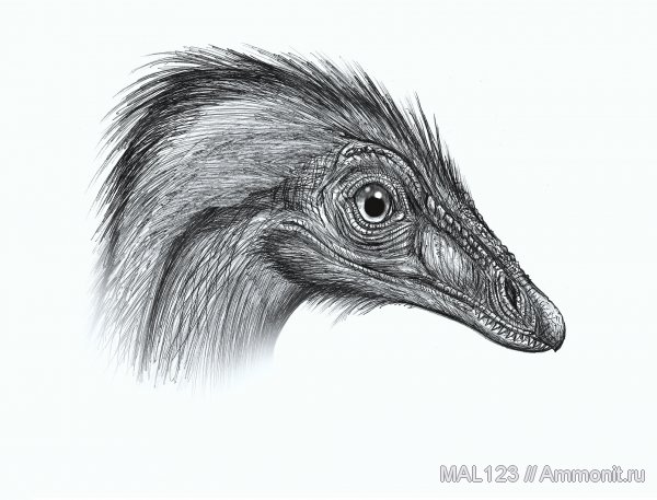 юра, археоптериксы, реконструкция, Archaeopteryx, Jurassic