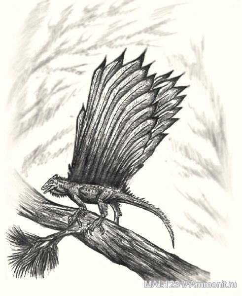 Longisquama, диапсиды