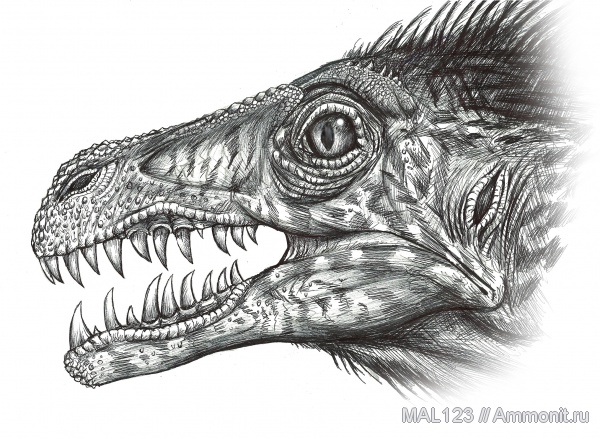 динозавры, дромеозавры, реконструкция, Dromaeosaurus