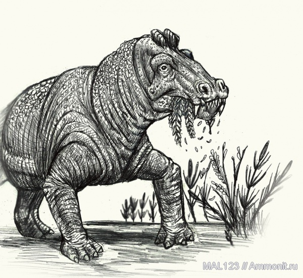 терапсиды, синапсиды, Estemmenosuchus, Estemmenosuchus uralensis, детеныши