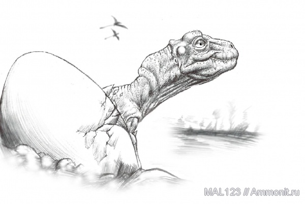 динозавры, тероподы, детеныши